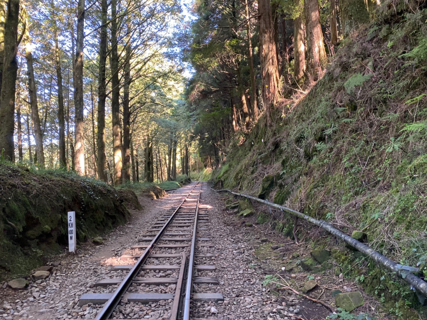 上班族副業 配圖|登島者學院